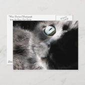 Carte Postale "Miss Precious" (Devant / Derrière)