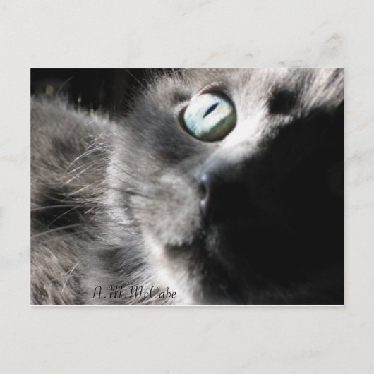 Carte Postale "Miss Precious" (Devant)