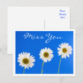 Carte postale Miss White Daisy Floral Grey (Devant / Derrière)