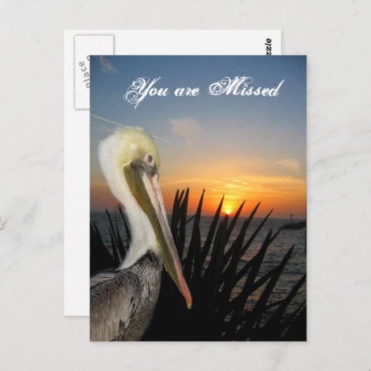 Carte postale Miss You_ (Devant / Derrière)