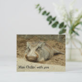 Carte postale Miss You Wathog (Debout devant)