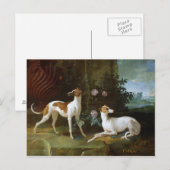 Carte Postale Misse et Turlu, deux lévriers de Louis XV (Devant / Derrière)