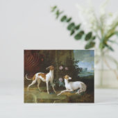 Carte Postale Misse et Turlu, deux lévriers de Louis XV (Debout devant)