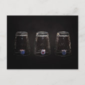 Carte Postale Missing (Devant)