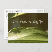 Carte Postale "Missing You", gouttelette d'eau sur feuille de ba (Devant / Derrière)