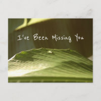 "Missing You", gouttelette d'eau sur feuille de ba