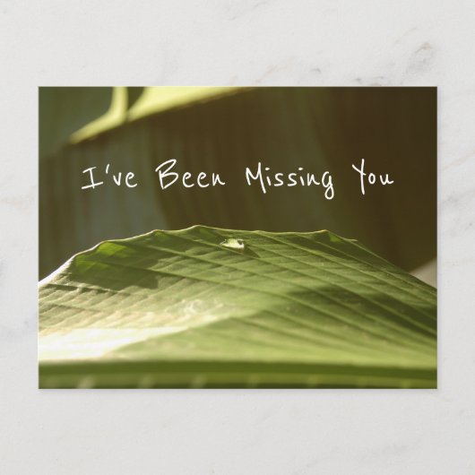 Carte Postale "Missing You", gouttelette d'eau sur feuille de ba (Devant)