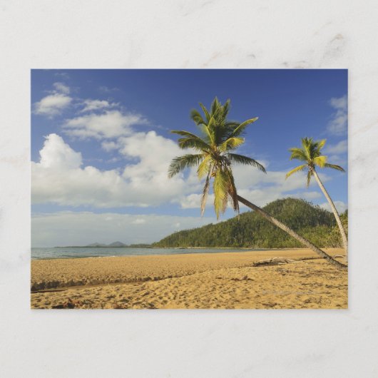 Carte Postale Mission Beach (Devant)