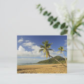 Carte Postale Mission Beach (Debout devant)