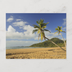 Carte Postale Mission Beach