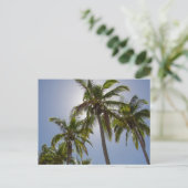 Carte Postale Mission Beach (Debout devant)