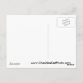 Carte Postale Mission San Francisco de Asís California Produits (Dos)