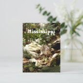 Carte Postale Mississippi (Debout devant)