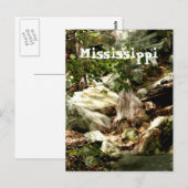 Carte Postale Mississippi (Devant / Derrière)