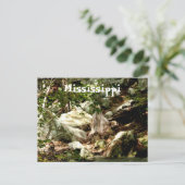 Carte Postale Mississippi (Debout devant)