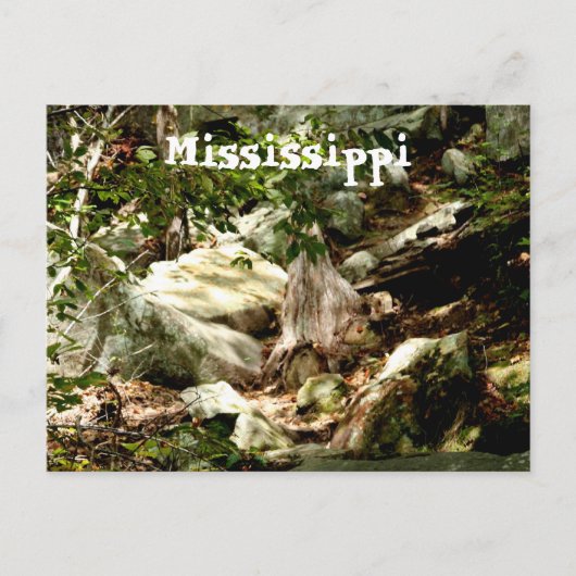Carte Postale Mississippi (Devant)