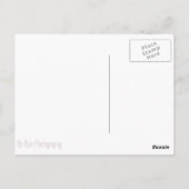 Carte Postale Mississippi Garden (Dos)