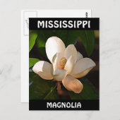 Carte Postale Mississippi Magnolia (Devant / Derrière)