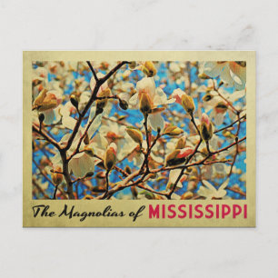 Carte Postale Mississippi Magnolias