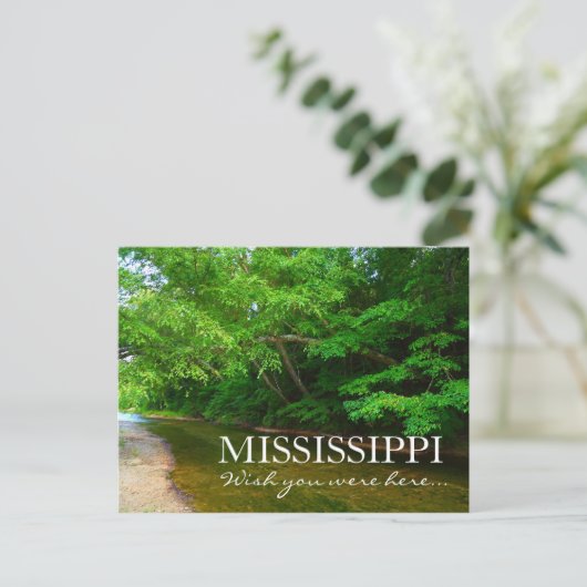 Carte Postale MISSISSIPPI - Souhaitez-vous être ici - McGehee Cr (Debout devant)