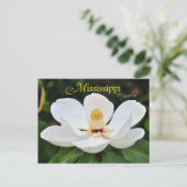 Carte Postale Mississippi State Flower : Magnolia (Debout devant)