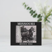 Carte Postale Missouri (Debout devant)