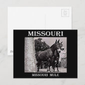 Carte Postale Missouri (Devant / Derrière)