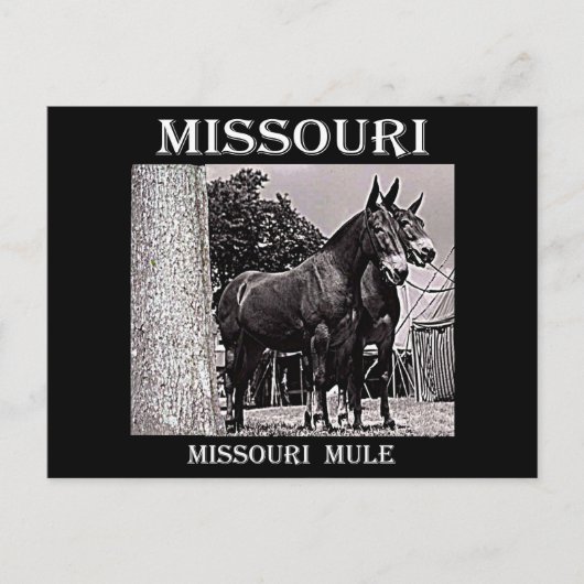 Carte Postale Missouri (Devant)