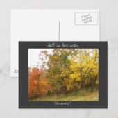 Carte postale Missouri (Devant / Derrière)