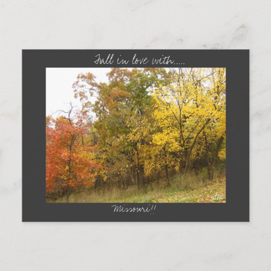 Carte postale Missouri (Devant)