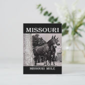 Carte Postale Missouri (Debout devant)