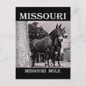 Carte Postale Missouri (Devant)