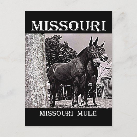 Carte Postale Missouri (Devant)