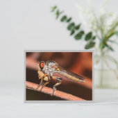 Carte Postale Missouri Damselfly. (Debout devant)