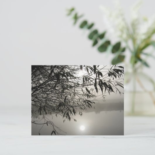 Carte postale Mist et Shadow (Debout devant)