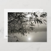 Carte postale Mist et Shadow (Devant / Derrière)