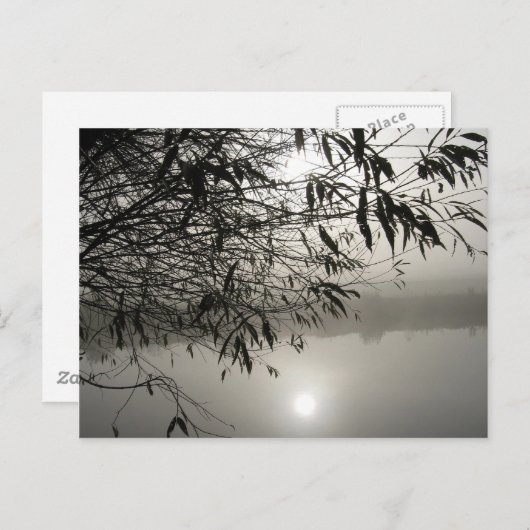 Carte postale Mist et Shadow (Devant / Derrière)