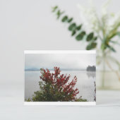 Carte postale Mist Mist Adirondack (Debout devant)