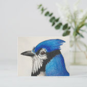 Carte postale Mister Blue Jay Bluejay Bird Waterco (Debout devant)