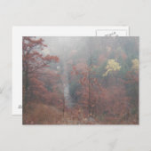 Carte Postale Misty Autumn Woods (Devant / Derrière)