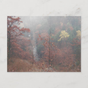 Carte Postale Misty Autumn Woods