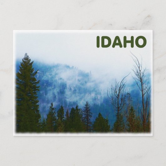 Carte Postale Misty Grey (Devant)