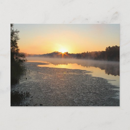 Carte postale Misty Lake Sunrise (Devant)