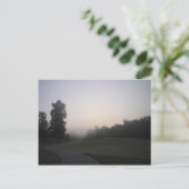 Carte Postale Misty Morning Path (Debout devant)