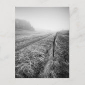 Carte postale Misty Wiltshire Field (Devant)