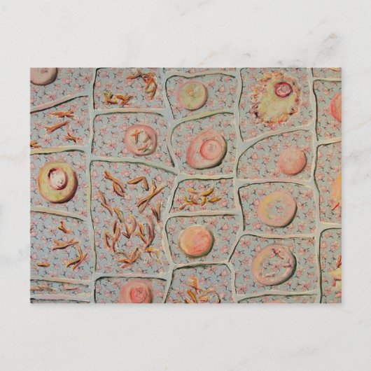 Carte Postale Mitose (Devant)