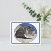 Carte postale Mittens Kitten Nap (Debout devant)