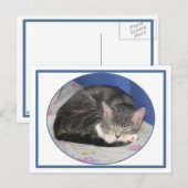 Carte postale Mittens Kitten Nap (Devant / Derrière)