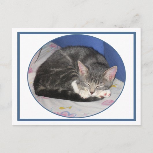 Carte postale Mittens Kitten Nap (Devant)
