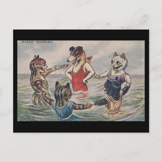 Carte Postale Mixed Bathing - Dog and Cats Postcard (Devant)